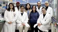 Mar�a Gim�nez, la segunda por la derecha, con su equipo del Ciqus de Santiago