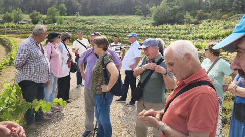 Participantes en las Xornadas de Cata, en una de las vi�as de la bodega