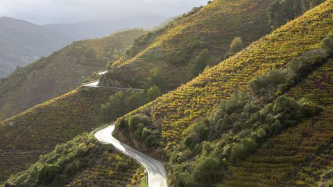 La ribeira de Doade, en Sober, luce todava ms espectacular en otoo