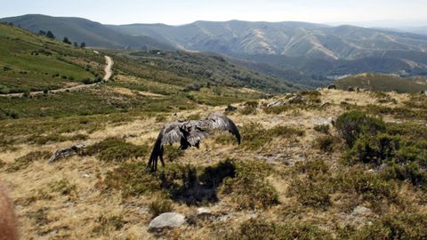 Imagen de archivo de la Serra de San Mamede