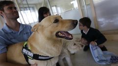 Conexi�n canina en la sala de espera