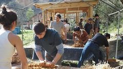Bioconstrucci�n de Creando Floresta