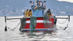 Un barco faenando al bou de vara en la r�a de Arousa, en una imagen de archivo