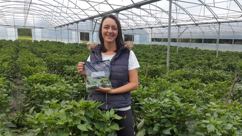 Marta Novoa Fern�ndez tiene una plantaci�n de 8.500 metros cuadrados en los que cultiva pimientos, tomates y lechugas