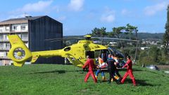 As� fue la evacuaci�n en helic�ptero de un hombre al�rgico al que le picaron las avispas velutinas