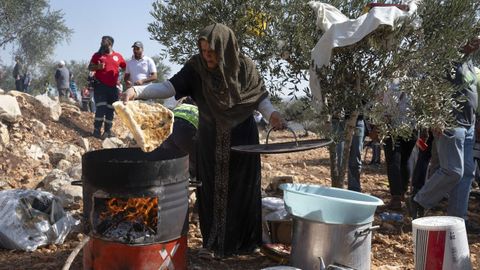 La cosecha de aceitunas en la poblacin de Bir Zeit, en el centro de la Cisjordania ocupada, se desarrolla en un ambiente tenso debido a los constantes ataques de grupos de colonos israeles contra agricultores palestinos, una realidad con la que tienen que lidiar cada ao con el inicio de temporada y que el alto el fuego en Gaza no ha cambiado. 