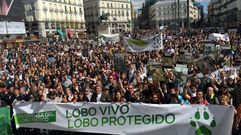 Miles de personas se manifiestan en defensa del lobo ib�rico