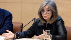 A secretaria de Estado de Migraci�ns, Pilar Cancela, durante unha conferencia a semana pasada.
