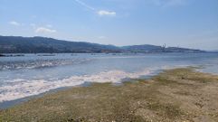 La Conseller�a do Mar explica que la espuma en la orilla de la playa de Lourido es un fen�meno natural por las mareas vivas y el viento