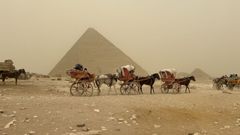 Carruajes de caballos con una de las pir�mides de Giza, al fondo.