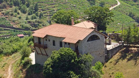 Adegas V�a Romana (O Savi�ao). Degustaci�n desde 3 euros. Menc�a, godello.