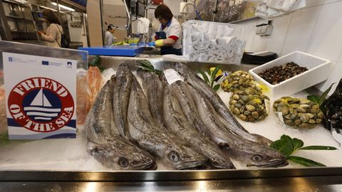 En imagen de archivo, merluza capturada por la flota de Celeiro a la venta en una pescader�a de la Praza de Abastos de Viveiro