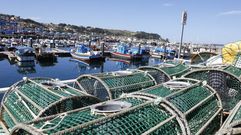 El puerto de Bueu es la principal base de bajura de la ra de Pontevedra