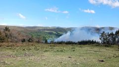 Parte de la superficie afectada es arbolada, con una plantaci�n de eucaliptos.