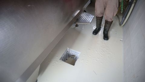 Algunos ganaderos tuvieron que tirar su leche�tras negarse a firmar unos contratos que les rebajaba el precio de la leche