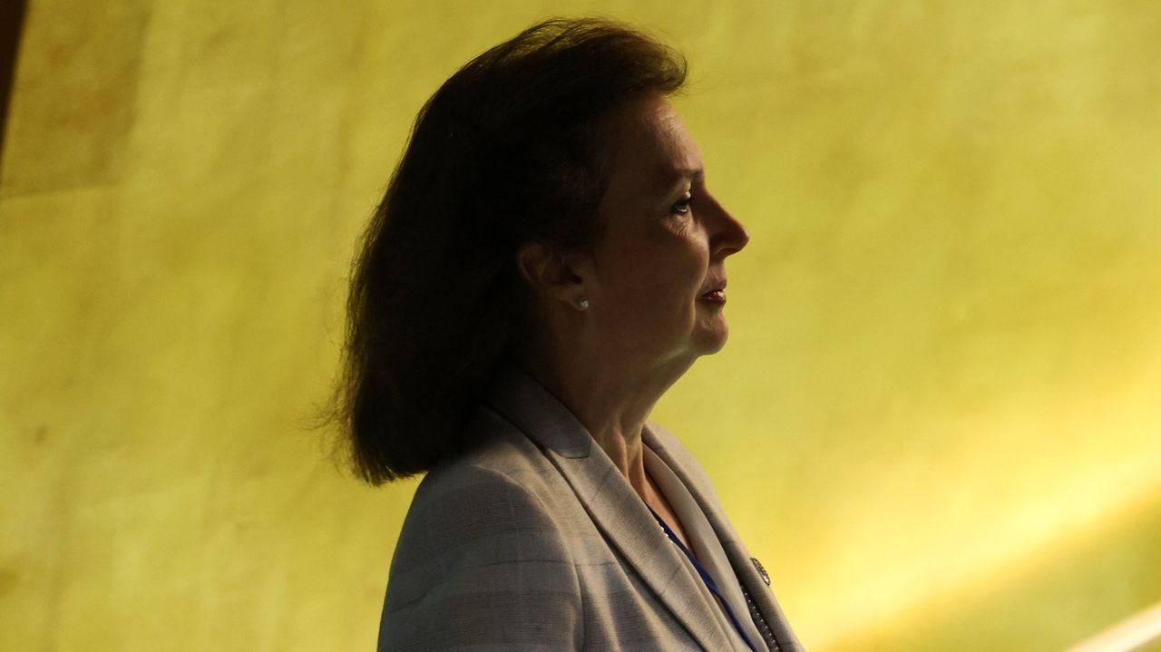 Milei despide a su ministra de Exteriores por votar contra el bloqueo ...
