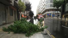 <span lang= es-es >Ramas, contenedores y macetas</span>. En el medio, bomberos de Santiago retirando macetas de los alf�izares de las ventanas en Fernando III; arriba, ramas de �rboles tiradas por el viento en Rodr�guez de Viguri y el Ensanche; y, abajo, contenedores derribados en la zona de Galuresa y la avenida de A Mah�a (Bertamir�ns). 