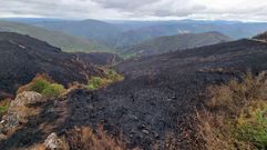 Terrenos afectados por el �ltimo incendio entre Ribas de Sil y Quiroga