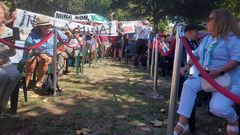 As imaxes da Festa da Ameixa de Carril