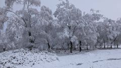 La nieve vuelve a te�ir A Ca�iza de blanco