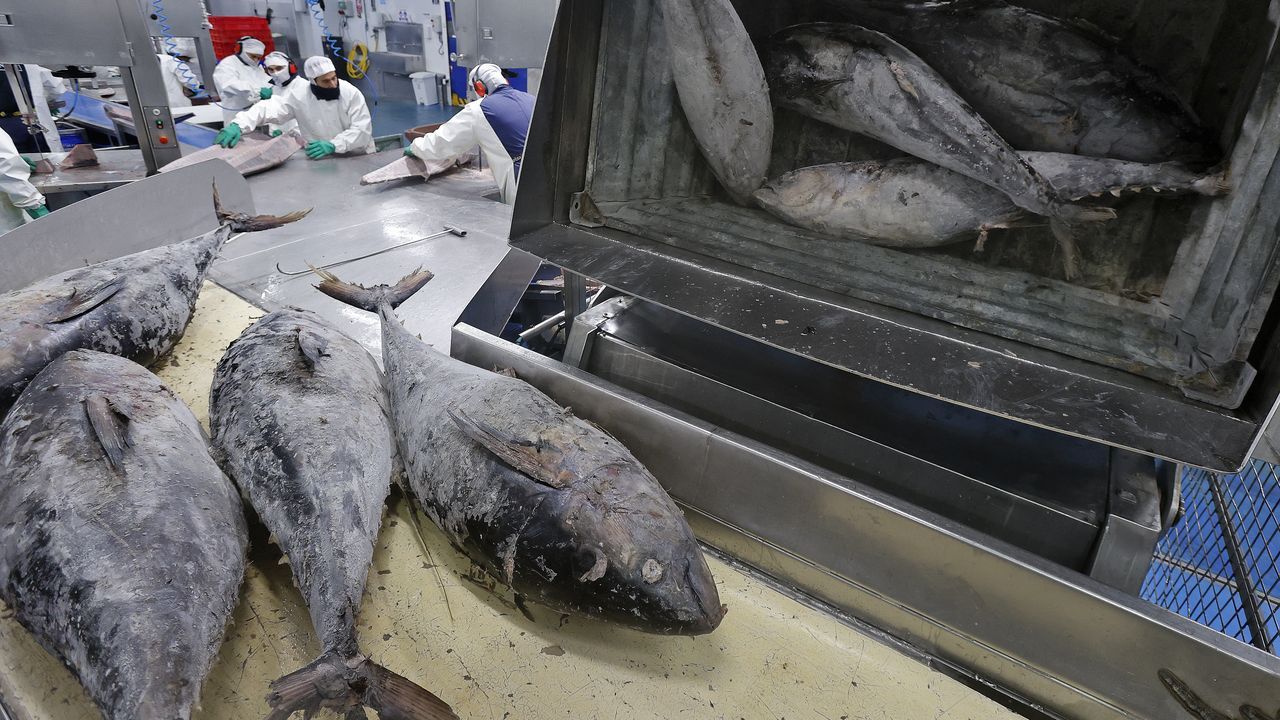 El Juzgado acepta el plan de rescate de Frigoríficos de Cambados, que incluye una quita del 10 %