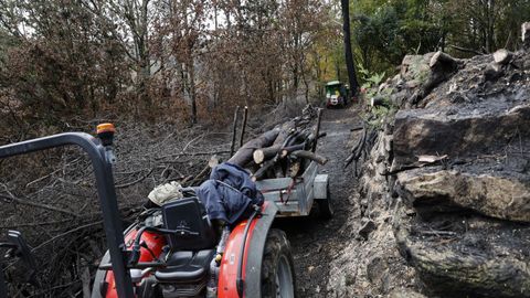 Los voluntarios abrieron un camino que llevaba 20 aos cerrado