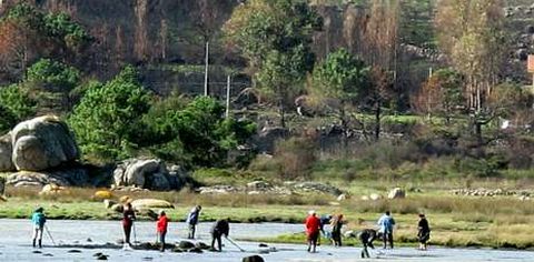 Mariscadoras de las cofradas de O Pindo y Lira retirando ayer ceniza en el banco de A Berberecheira.