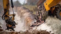 La mayor�a de los animales fueron incinerados aunque una parte de ellos se enterraron en fosas comunes