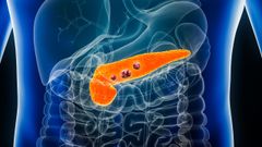 Imagen 3D de un c�ncer de p�ncreas.