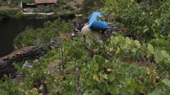 La Federacin Espaola del Vino aplaue buena parte de las medidas para el sector aprobadas por la UE