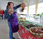 El pleno aprob� la primera ordenanza que regula la plaza.