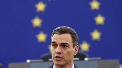 El presidente del Gobierno espa�ol, Pedro S�nchez, durante su intervenci�n en el pleno del Parlamento de Estrasburgo, donde present� su visi�n sobre el futuro de Europa, en jaque por el brexit y el auge de los populismos