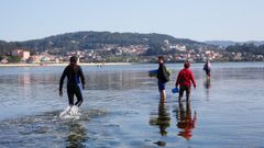 Al rescate de un arroaz en Pontevedra