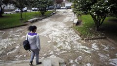 Los rastros de sal son bien visibles en el parque vilagarciano