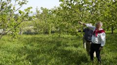 Antonio Villar y Jes�s Sotelo se�alan la cantidad de cerezas brotando en Beade.