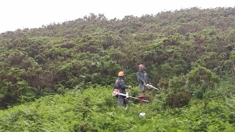 Imagen de trabajos realizados el ao pasado en la sierra