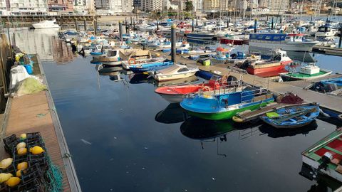 Flota de bajura amarrada en Sanxenxo el 19 de enero del 2026 contra los nuevos controles a la pesca.