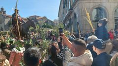 Domingo de Ramos en Pontevedra