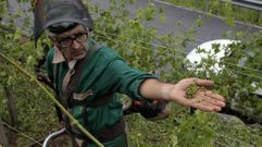 Un viticultor muestra uno de los racimos esparcidos por el suelo a causa del granizo