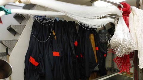 Sedales con anzuelos preparados para incorporar a la lnea madre del palangre