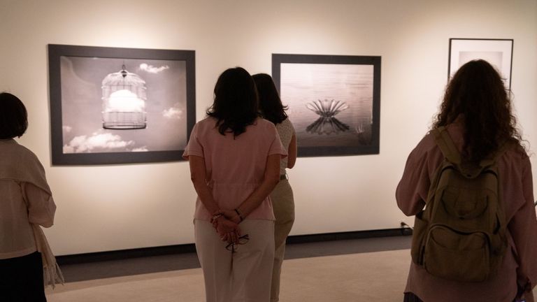 La exposici&oacute;n se podr&aacute; ver hasta comienzos del pr&oacute;ximo a&ntilde;o