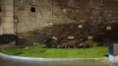 V�deo Jabal�s por el centro de Lugo