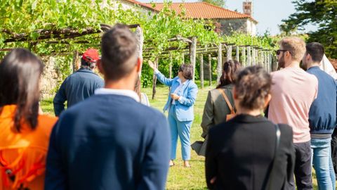 Hasta 17 bodegas de R&iacute;as Baixas abrir&aacute;n sus puertas a los visitantes durante este fin de semana