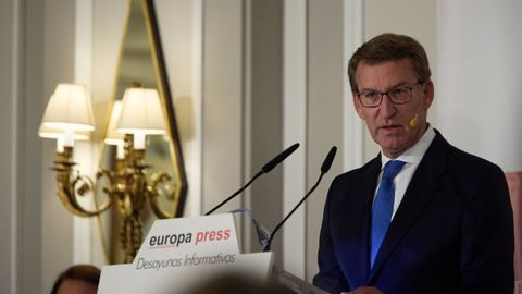 El presidente del PP, Alberto N��ez Feijoo.