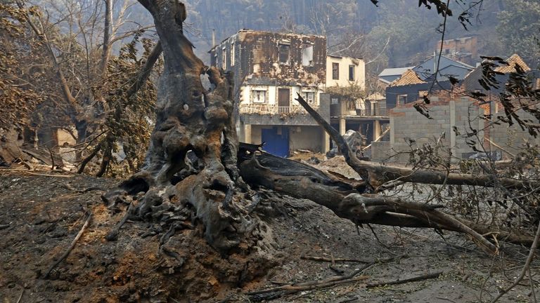 Las viviendas afectadas por el fuego en San Vicente de Leira, en Vilamartn de Valdeorras.