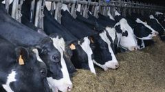 El sector l�cteo es uno de los que m�s j�venes atrae para continuar con el negocio familiar