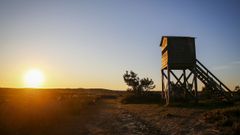 El turismo ornitol�gico, uno de los grandes atractivos de Barbanza