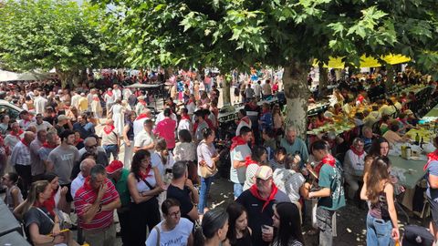 El p&uacute;blico abarrot&oacute; la Festa da Troita.