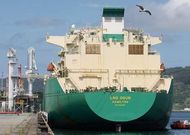 Durante el pasado a�o, las instalaciones de Reganosa recibieron 27 buques para descargar.