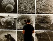 Eidos da imaxe acabar� con dos talleres en octubre. 